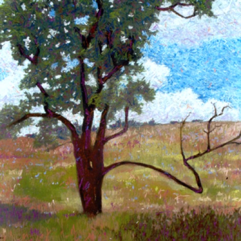 Marked Tree
40x28
SOLD - Collector in Michigan